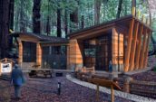 Chabad Los Gatos Synagogue exterior render in forest